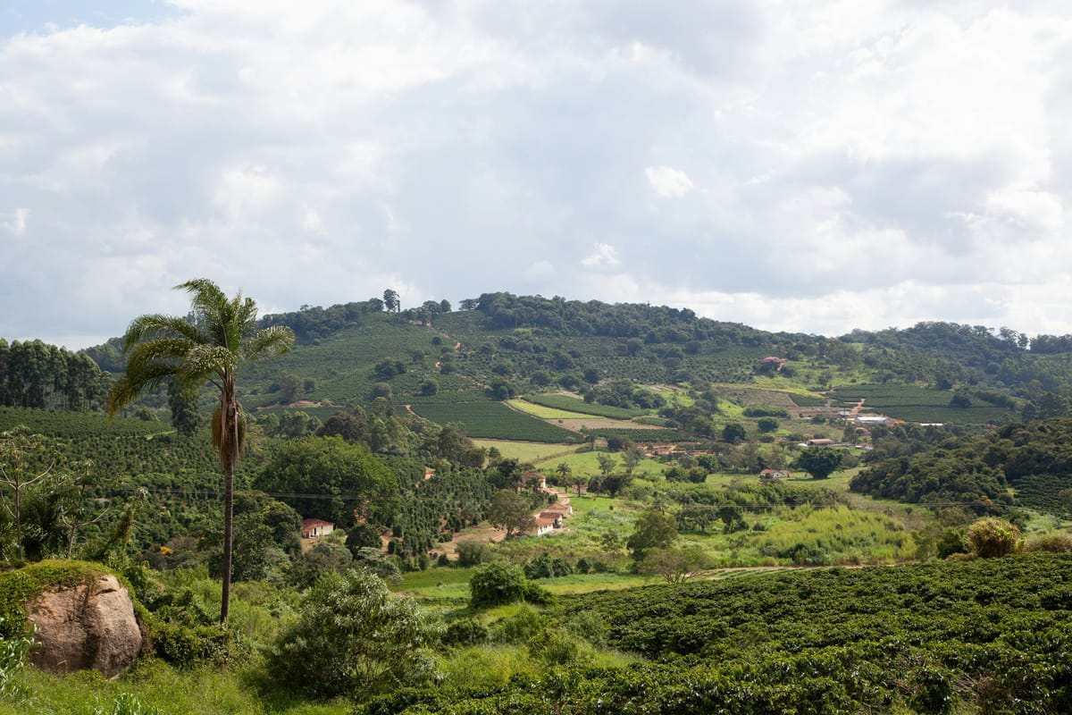Recuperação Judicial do Produtor Rural Pessoa Física: o guia honesto após o Provimento 216/2026 do CNJ