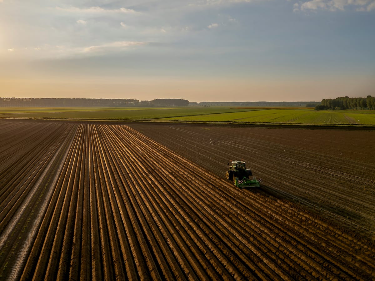Penhora da pequena propriedade rural em 2026: por que sua fazenda pode ser impenhorável (e como provar isso ao juiz)