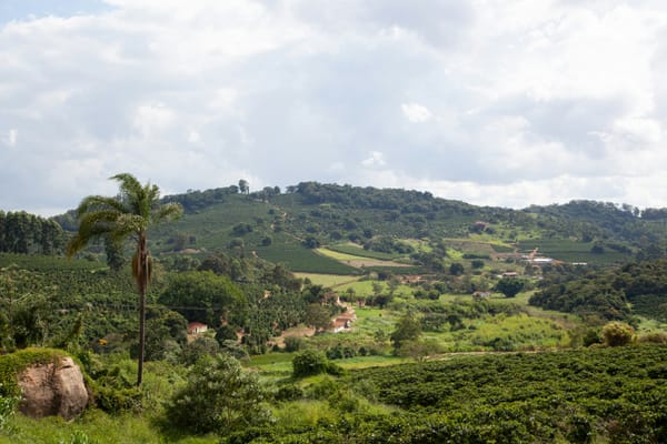 Recuperação Judicial do Produtor Rural Pessoa Física: o guia honesto após o Provimento 216/2026 do CNJ