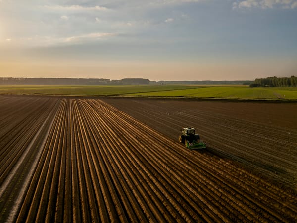 Penhora da pequena propriedade rural em 2026: por que sua fazenda pode ser impenhorável (e como provar isso ao juiz)